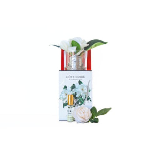 Double Gardenia Flower Gift